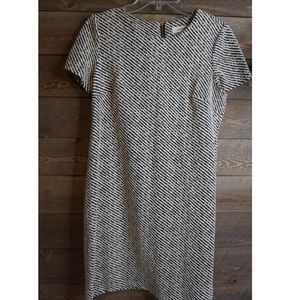 NWOT Calvin Klein Business Dress